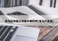 宝马区块链公司是干嘛的啊[宝马产业链]